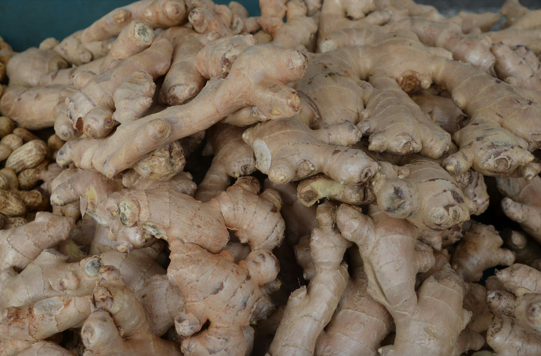 50 Ginger Root Fun Facts