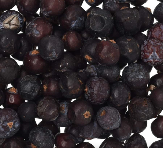 Juniper Berry Benefits