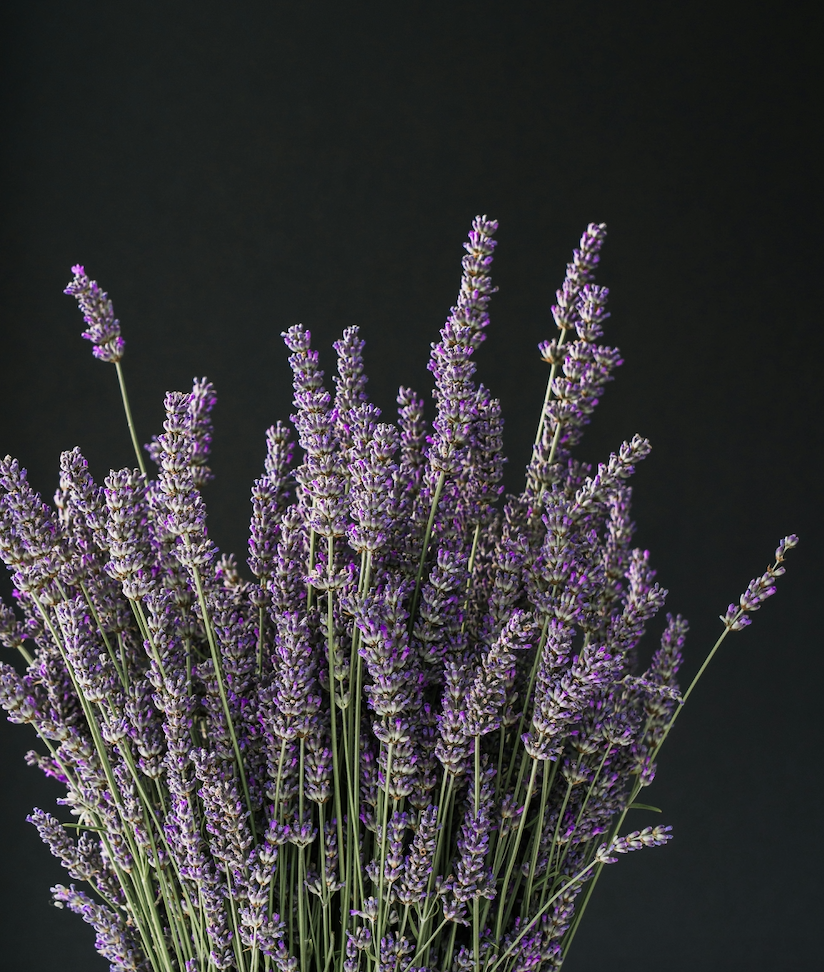 How to Smoke Lavender Flowers