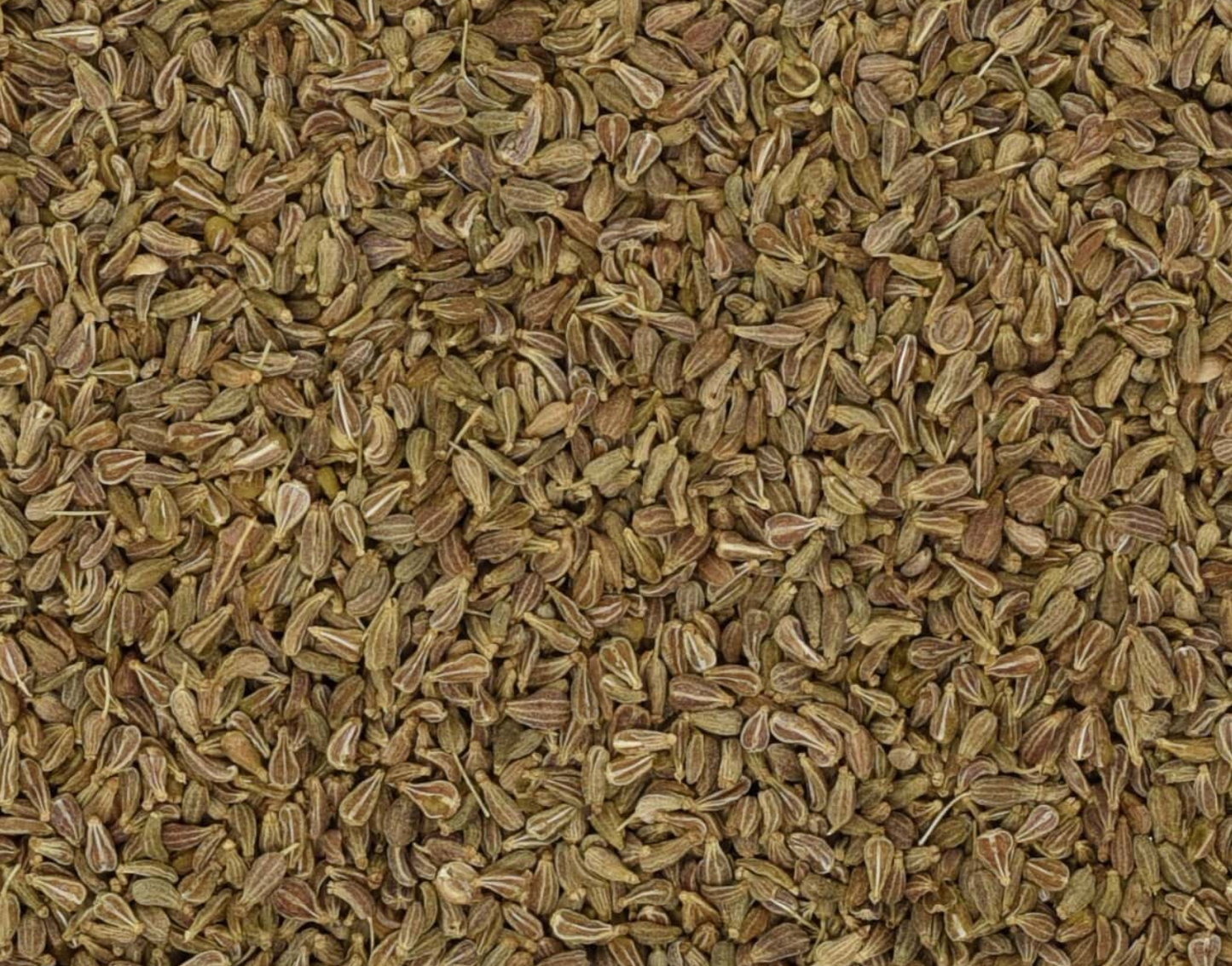 Close-up of dried anise seeds, showing small brown seeds used for teas and herbal remedies.