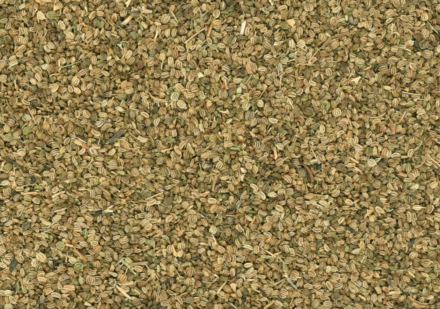 Celery Seed (Organic)