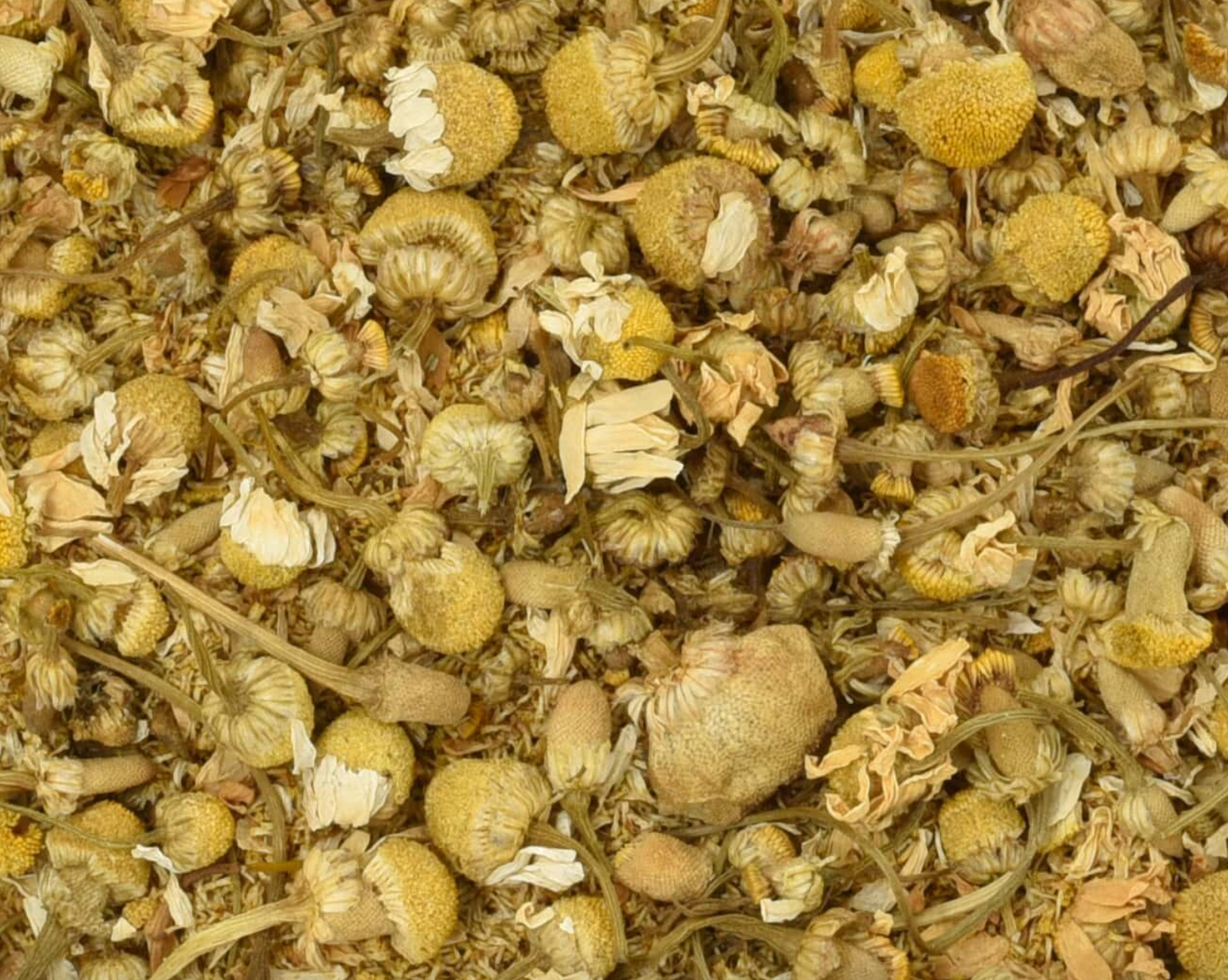 Chamomile (Organic)