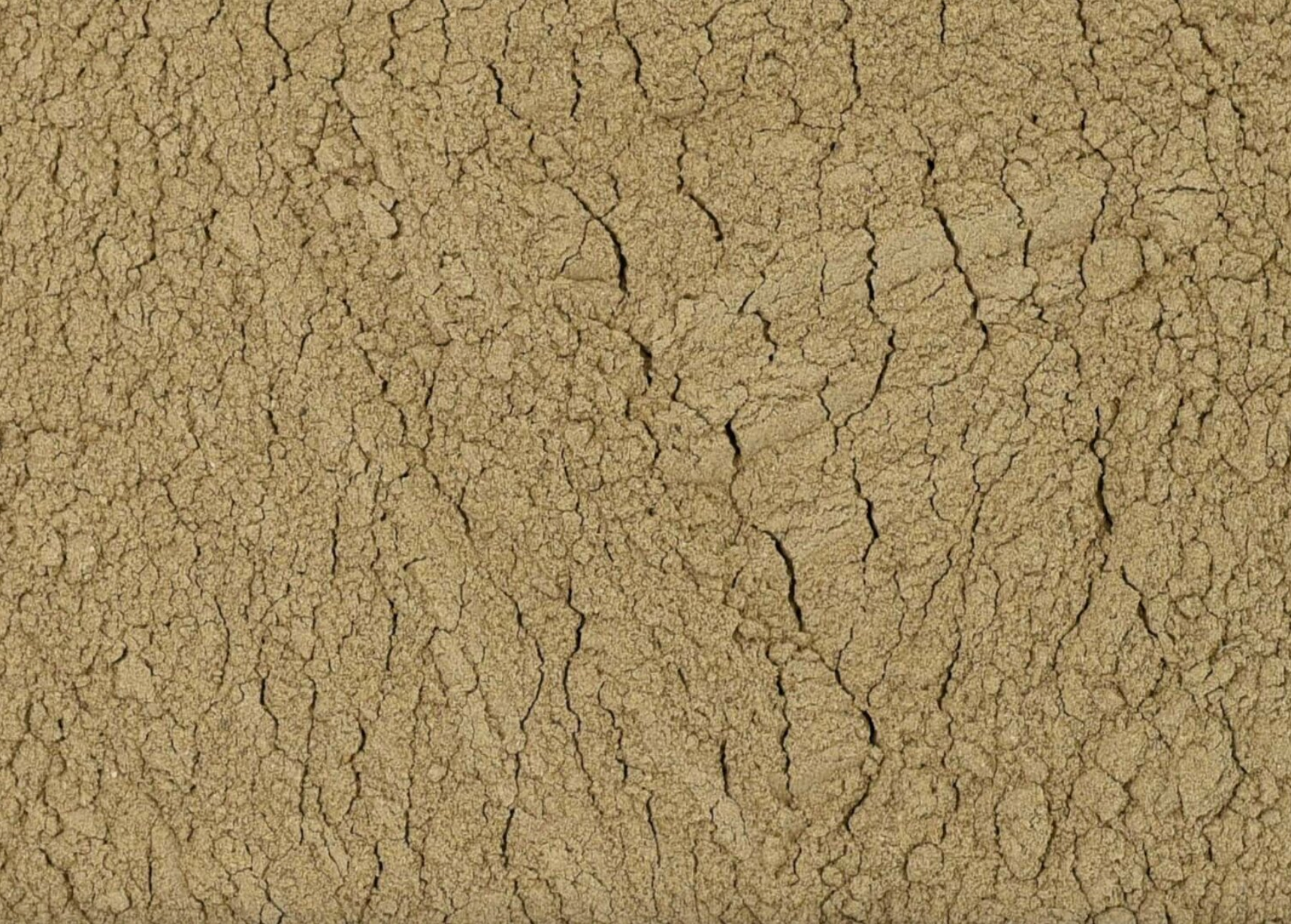 Close-up texture of dried dandelion root powder, showing fine brown powder used for teas and herbal remedies.