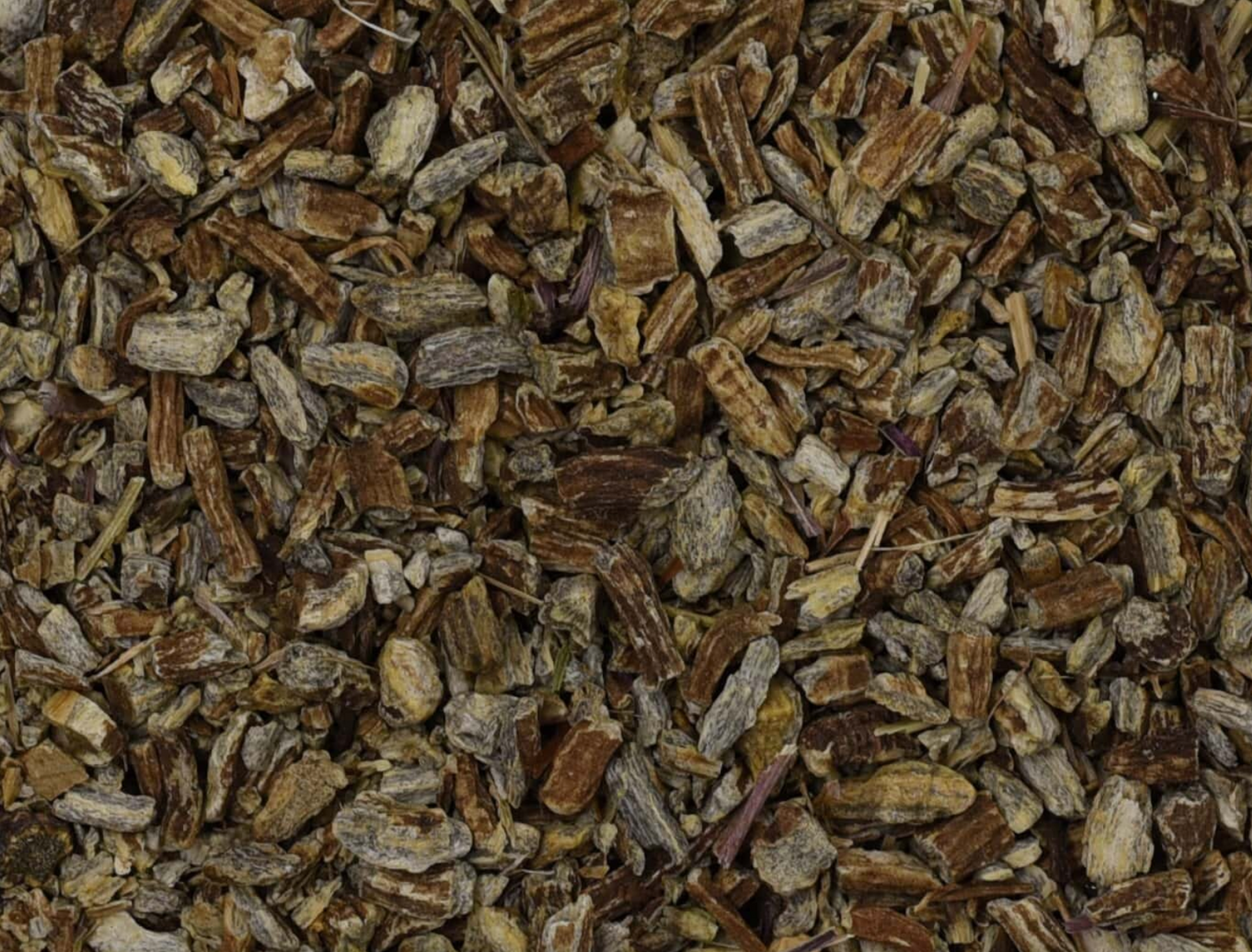 Echinacea Root (Organic)