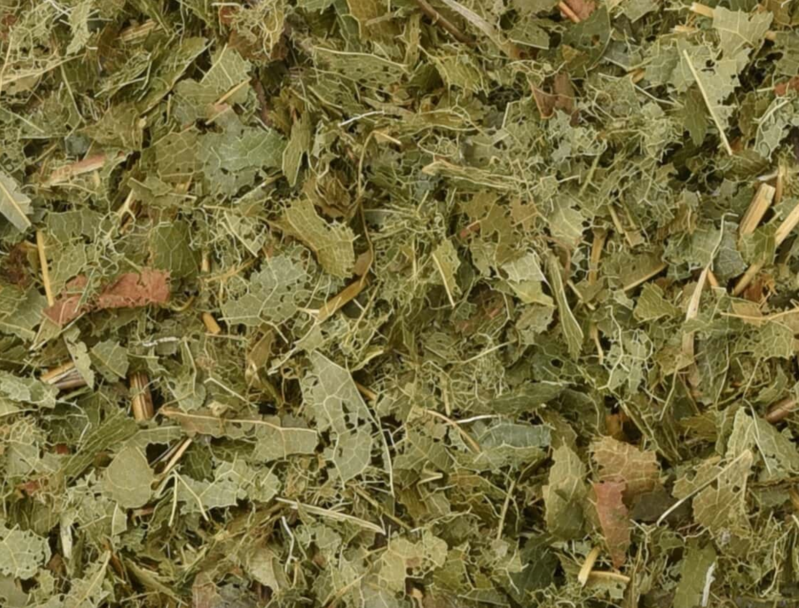 Close-up of dried epimedium, showing finely cut green leaves used for teas and herbal remedies.