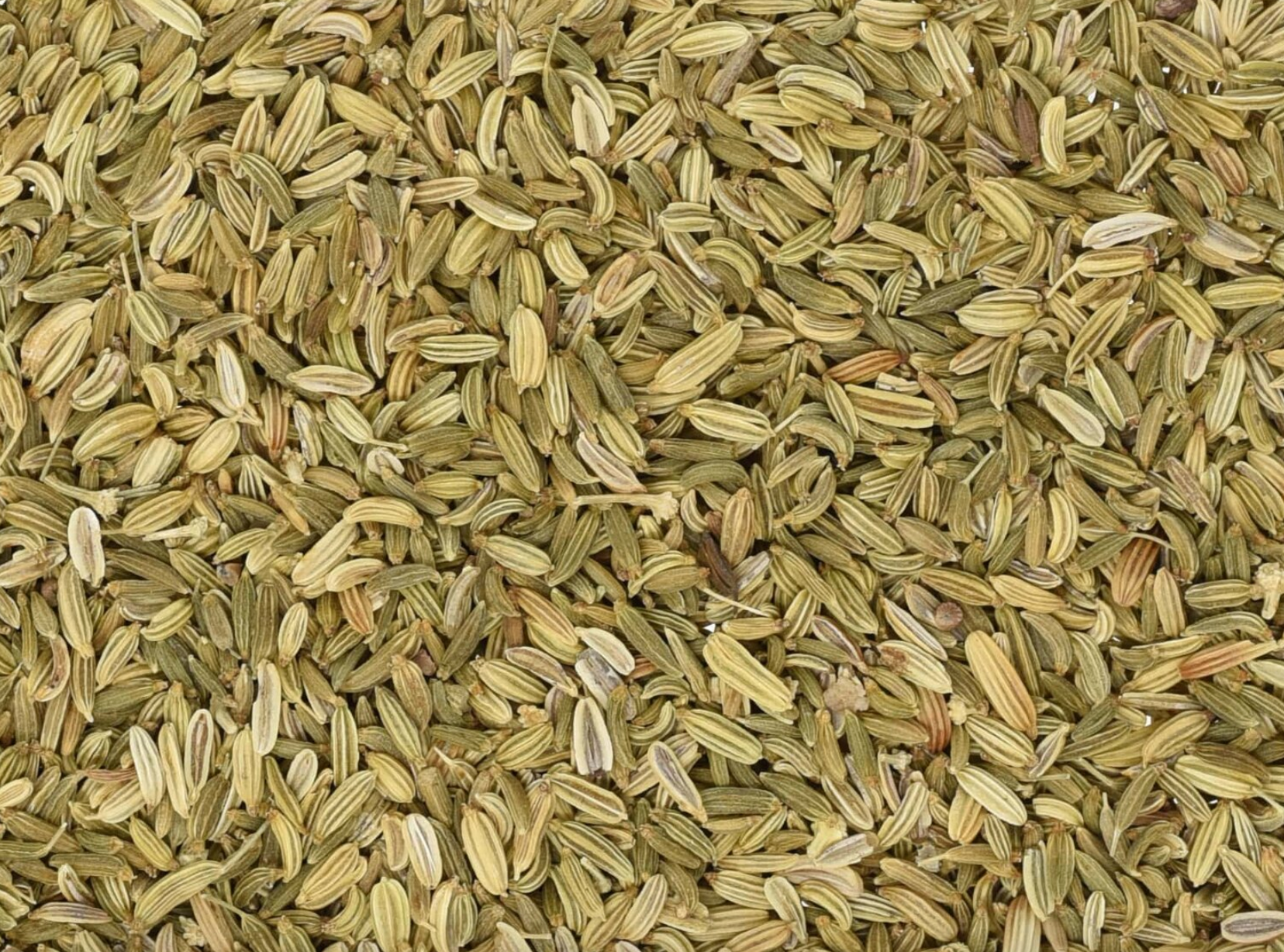 Close-up of dried fennel seed, showing small green seeds used for teas and herbal remedies.