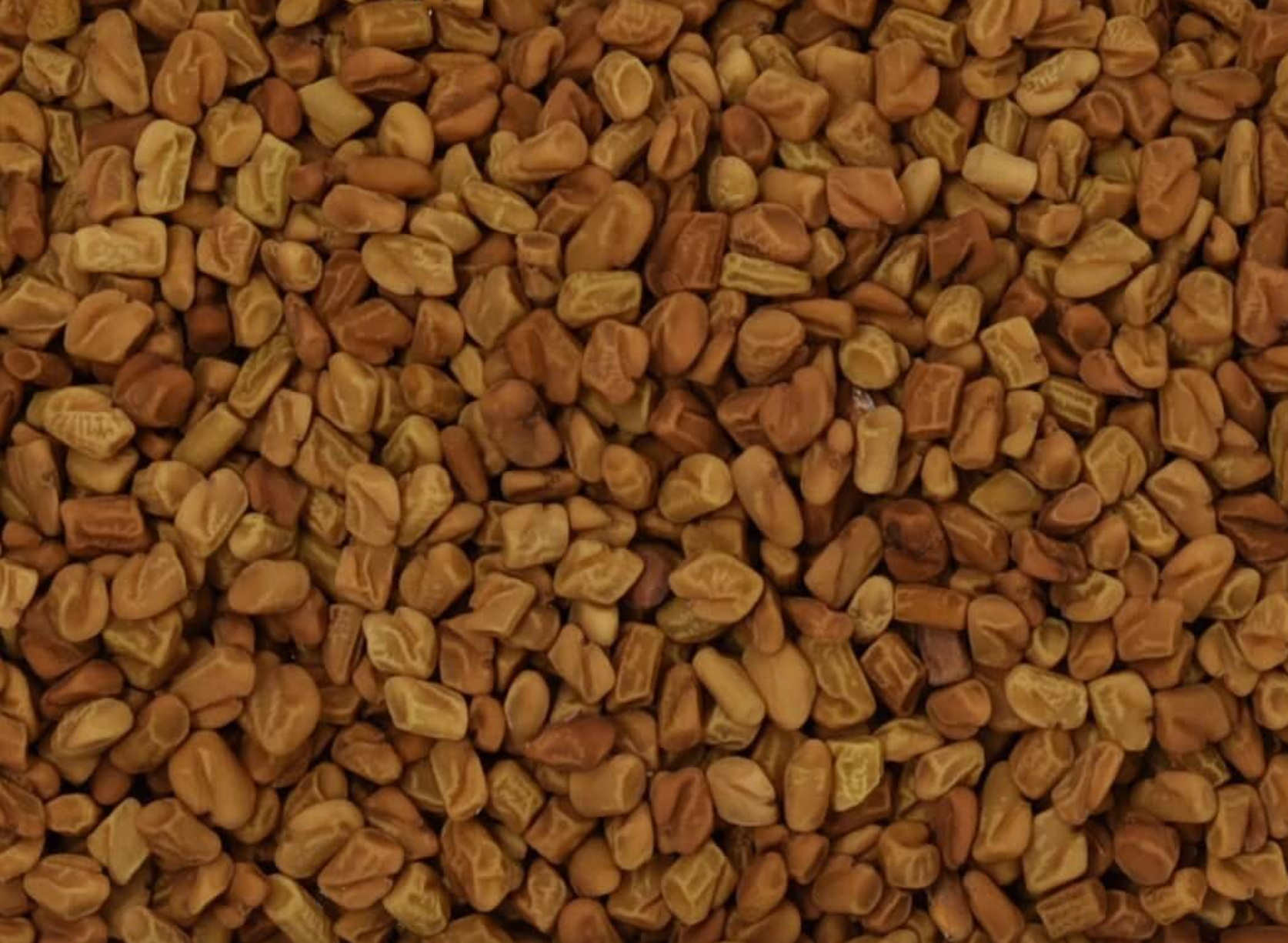 Close-up of dried fenugreek seed, showing small brown seeds used for teas and herbal remedies.