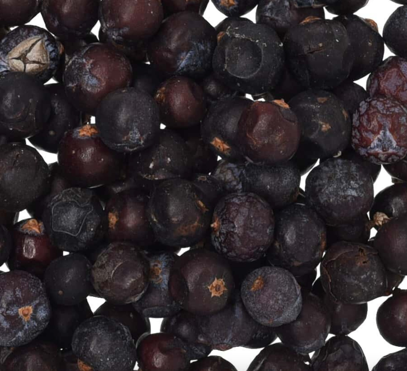 Juniper Berry (Organic)