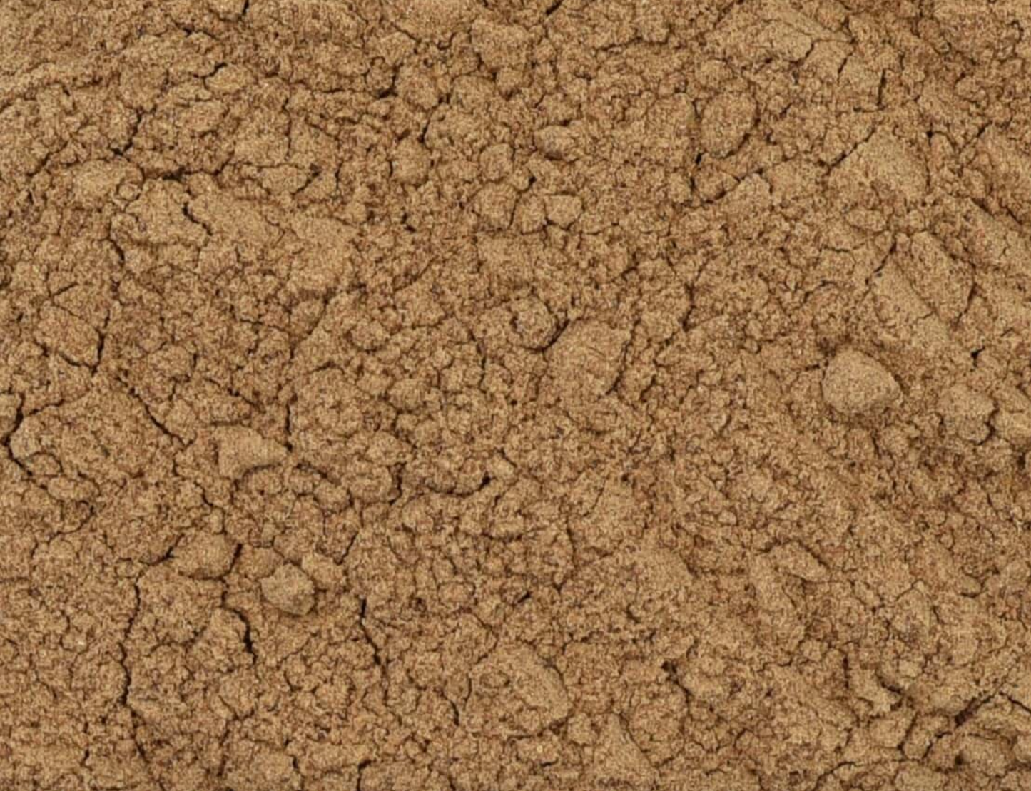 Close-up of dried lion's mane mushroom powder, showing finely ground light brown powder.