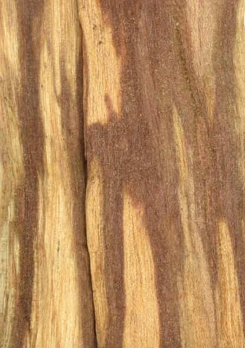 Close-up of dried palo santo sticks, showing texture of wood used for incense, teas, and herbal remedies.