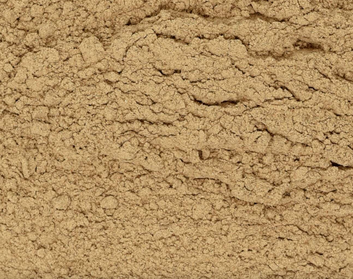 Close-up of dried shiitake mushroom powder, showing fine brown powder used for teas and herbal remedies.