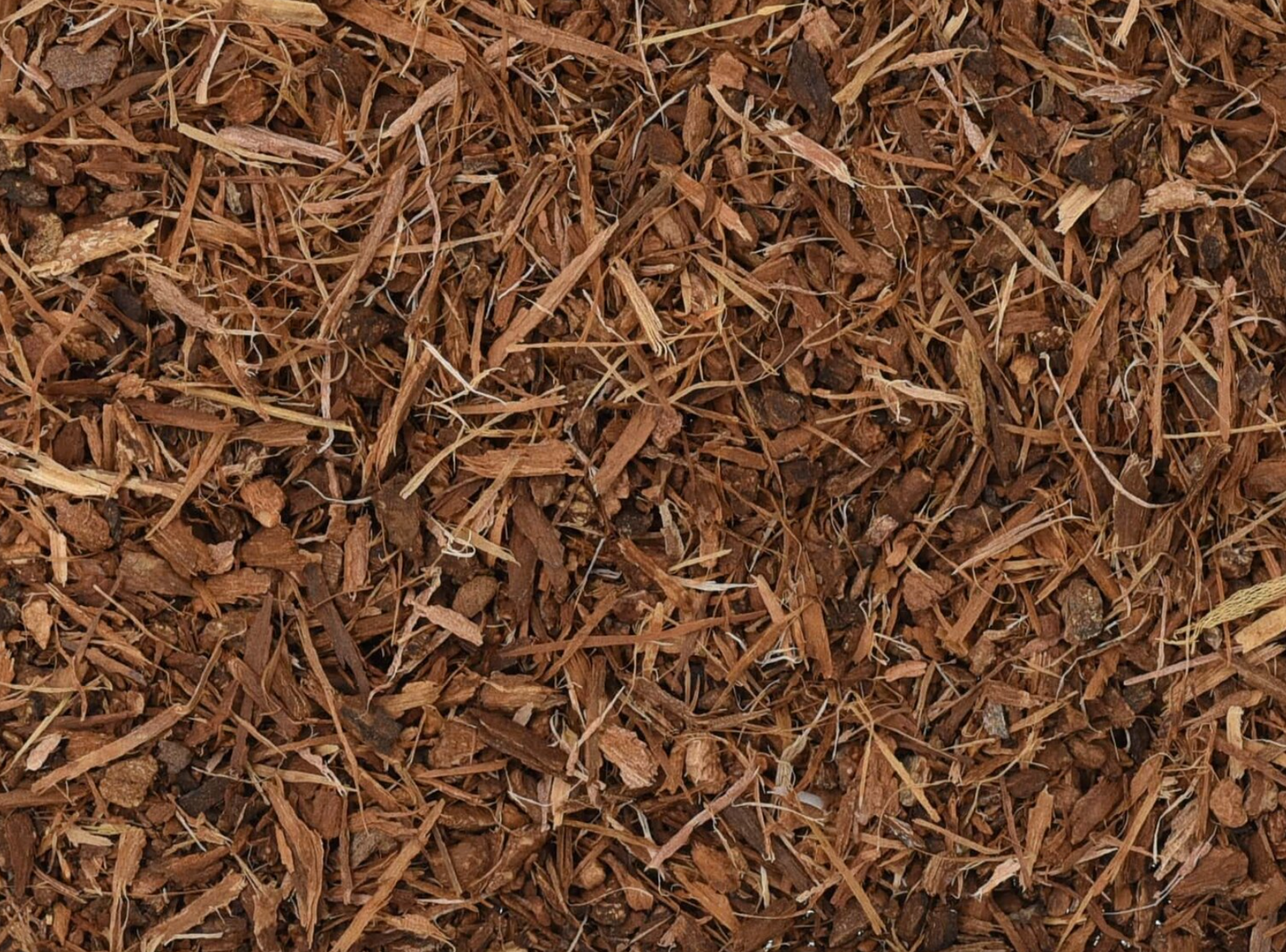 White Oak Bark (Organic)