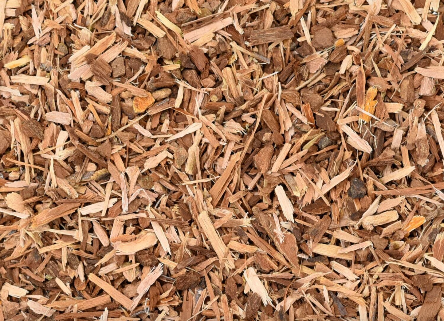 White Willow Bark (Organic)