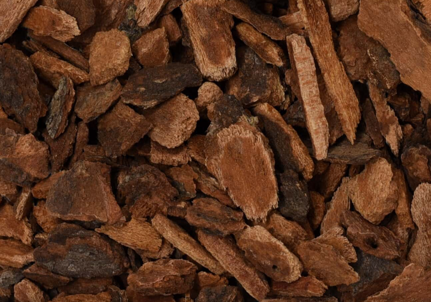 Close-up of dried wild cherry bark, showing chopped brown bark pieces used for teas and herbal remedies.